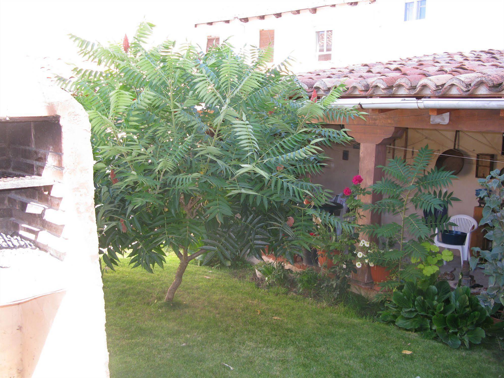 Casa Rural Arturo I Sahagún Buitenkant foto